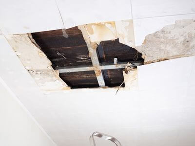 About VividRise - water damage restoration experts in Winter Haven, FL